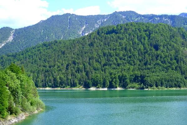 Мальовниче Озеро Ахензеє Австрії Зелені Гори Здіймаються Над Спокійним Простором — стокове фото