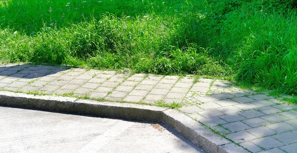 Concrete Curb Part Pavement Made Tiles Green Grass Pedestrian Zone — Stock Fotó