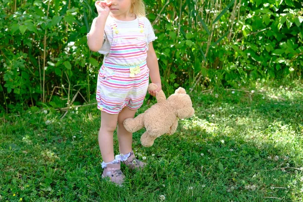 Little Child Years Old Girl Striped Shorts Green Meadow Teddy — Stock Photo, Image