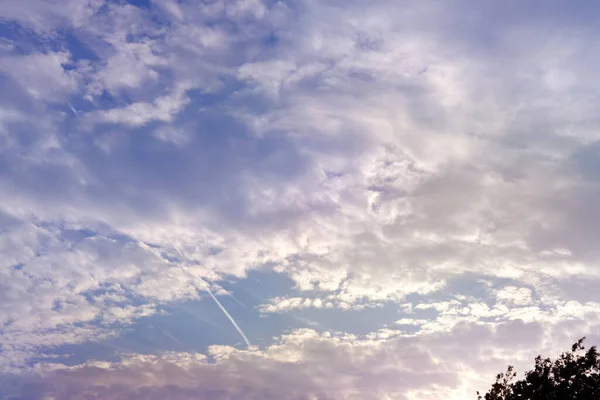 Fond Lumière Ciel Dégradé Gros Plan Beaux Nuages Blancs Pelucheux — Photo