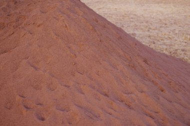 Eğimli alanda büyük kahverengi gevşek gübre yığını, tarım kimyası, artan çiftçi mahsulü, kış ve bahar buğday tanelerinin verimi ve kalitesi, mineral gübrelerinden kaynaklanan çevresel hasar