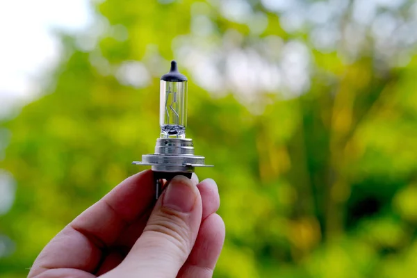 closeup of female hand holds car headlight bulb, standard halogen headlightbulbs, European safety standard, replacement of burned-out factory bulbs in low and high beams, modern lighting technology