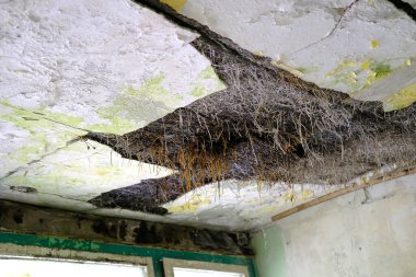 Çöken tavan, çatlaklar, binaların rutubet, çatı sızıntısı, mimari hatalar, binaların tahrip edilmesi, acil konutlar
