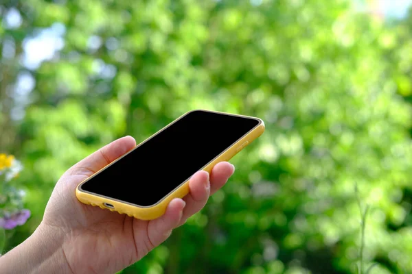 Nahaufnahme Der Weiblichen Hand Halten Smartphone Mit Leerem Bildschirm Handy — Stockfoto