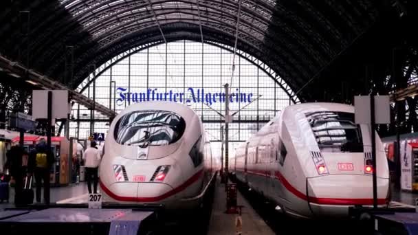 Intercity Train Deutsche Bahn Platform Frankfurt Main Station Passengers Luggage — ストック動画
