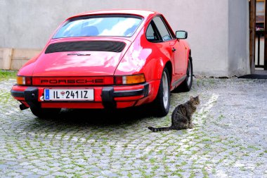 Avrupa 'nın tarihi bölgesindeki evinin yakınına park edilmiş kırmızı Porsche arabası, kare üzerinde genç kedi viski rengi, dört ayaklı evcil hayvanların bakım konsepti, Tirol, Avusturya' daki Hall - Haziran 2022