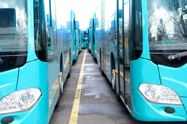 city shuttle buses rank at Frankfurt bus station in Germany, green vehicle public transport concept, transport companies strike, transport facilities for people in all localities