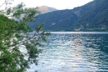 scenic evening lake Achensee in Austria, green mountains rises above the calm expanse of water, concept of the beauty of nature, vacation by the reservoir, water sports, resort place tyrol