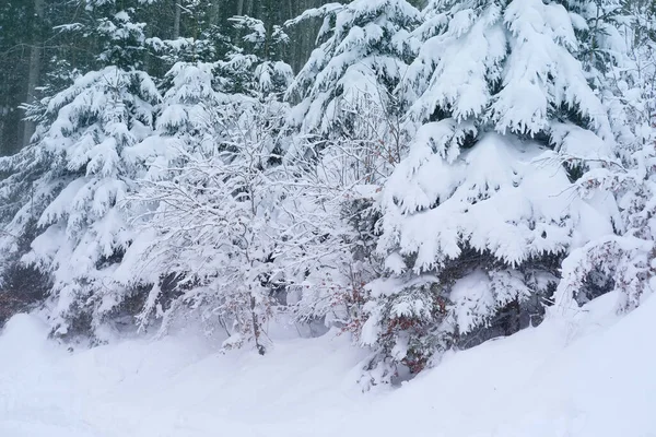 Bela Paisagem Inverno Árvores Cobertas Neve Passagem Montanha Queda Neve — Fotografia de Stock