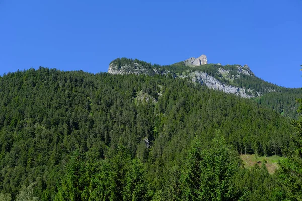 Picturesque Green Alps Mountains Mountain Range Austria Natural Park Lovers — Photo