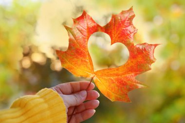 yellow leaf with heart in female hand, beautiful blurred natural landscape, background, concept of good weather, cozy autumn mood, seasonal, blank for the designer