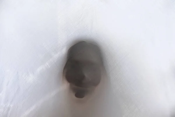 Eerie Blurry Face People Have Been Trapped Glass Dense Fabric — Stockfoto