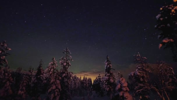 暗い空の美しい北の光 フィンランドのラップランド たくさんの雪と青い空の寒い冬 明るい星と暗い極の夜の冬の風景 雪で覆われたふわふわのモミの木 雪の中のトウヒ — ストック動画