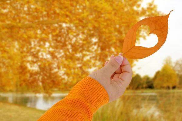 Gelbes Blatt Mit Herz Weiblicher Hand Verschwommener Natürlicher Hintergrund Herbstlaub — Stockfoto