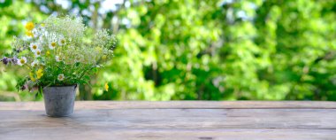 Bahçedeki ahşap masa, arka planda güzel bulanık doğal manzara yeşil yapraklar ve yumuşak gün batımı dallar arasında şeffaflık, konsept sıcak ruh hali, tasarımcı için boş