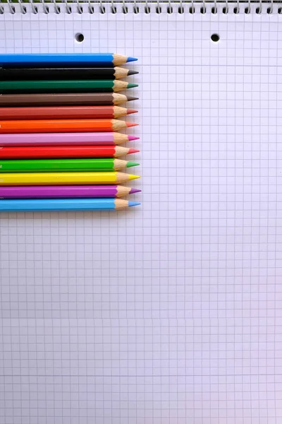 Школьное Образование Цветные Карандаши Лежат Листе Бумаги Открытая Тетрадь Спирали — стоковое фото