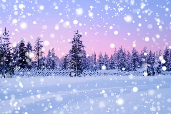 Wunderschöne Winterlandschaft Polarnacht Schneefall Wald Flauschige Weiße Schneeflocken Fallen Auf — Stockfoto