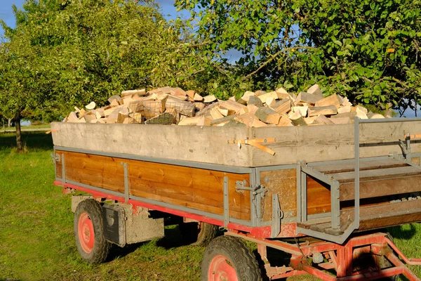 Remolque Tractor Completo Leña Picada Troncos Tala Para Invierno Estufa — Foto de Stock