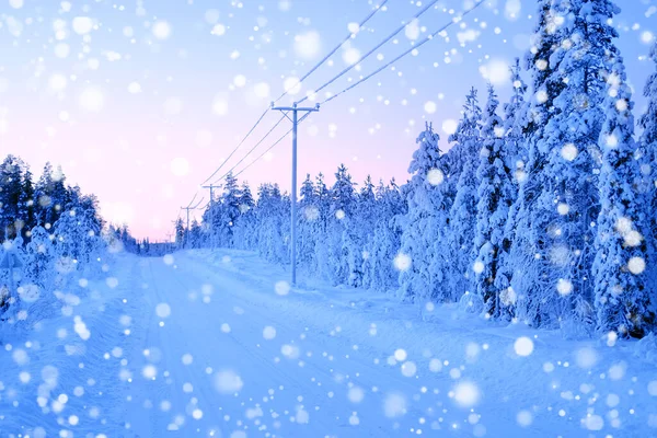 美丽的冬季风景 森林里的降雪 蓬松的白色雪花落在地上 在针叶树上 季节变化的气候观念 冬天已经来临 拉普兰的自然 — 图库照片
