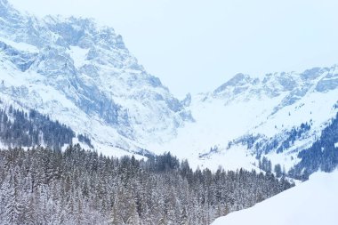 Güzel kış manzarası, karla kaplı ağaçlar, dağ geçidi, dağlarda kar yağışı, karda İsviçre Alpleri, kış ormanlarında yürüyüş, turizm, kış sporları.