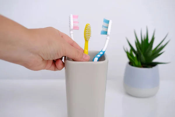 Close Toothbrushes Glass Indoor Flower Concept Daily Routine Oral Hygiene — Stock Photo, Image