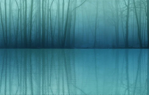 Waldnebelpanorama Winterwald Geheimnisvolle Mystische Landschaft Von Grünlicher Farbe Licht Beleuchtet — Stockfoto