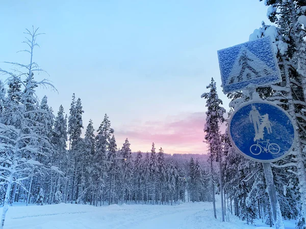 Bela Paisagem Inverno Dia Polar Curto Queda Neve Floresta Flocos — Fotografia de Stock
