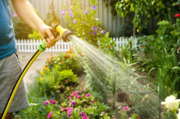 夏天阳光明媚的日子里 一位园丁用浇水软管和喷雾器浇灌花园的花朵 浇灌植物用喷水软管 生长和花卉护理的概念 有选择的重点 — 图库照片