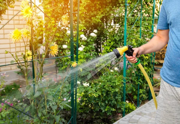 夏天阳光明媚的日子里 一位园丁用浇水软管和喷雾器浇灌花园的花朵 浇灌植物用喷水软管 生长和花卉护理的概念 有选择的重点 — 图库照片
