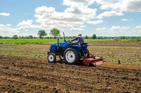 Oblast Kherson Ukraine Mai 2020 Agriculteur Cultive Champ Avant Replanter — Photo