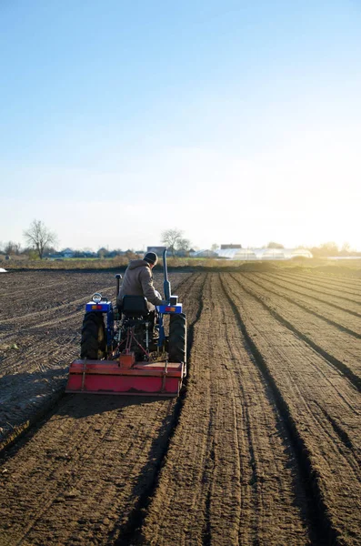 Tractor Está Cultivando Suelo Campo Granja Suavizar Mejorar Las Cualidades —  Fotos de Stock