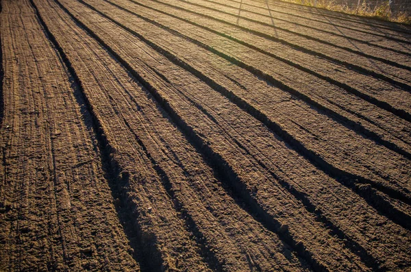 Soil Cultivation Mixing Grinding Field Cultivated Farm Land Fall Preparing — Stock Photo, Image