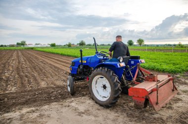 Kherson oblast, Ukraine - May 29, 2021: A farmer on a tractor clears the field. Milling soil, loosening ground before cutting rows. Preparation of land for future planting new crop.