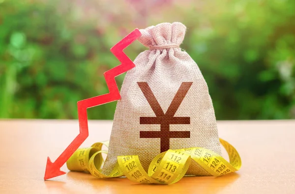 Chinese Yuan Japanse Yen Geldzak Met Pijl Naar Beneden Meet — Stockfoto