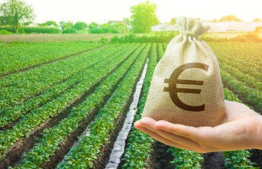 Euro money bag and a potato field. Lending a loan and subsidizing farmers. Surface irrigation of crops. European farming. Agriculture. Grants, financial support. Paying land tax. Profit. Compensation clipart