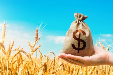 Buğday tarlası ve para çantası. Tarım endüstrisi ve tarım sektörü. Dünya gıda güvenliği krizi, yüksek fiyatlar. Dünya açlığı. Tahıl ve tahıl eksikliği, çiftlik hayvanları. Açlık ve kıtlık