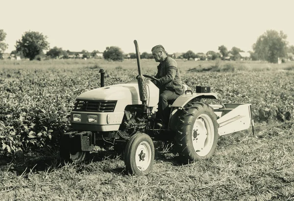 Фермер Тракторі Працює Фермерському Полі Агроіндустрія Агробізнес Сільськогосподарський Сектор Економіки — стокове фото