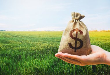 Green meadow field of young wheat and dollar money bag. World hunger. Grains cereals deficits. Starvation, famine. Agroindustry and the agricultural business. World food security crisis, high prices.