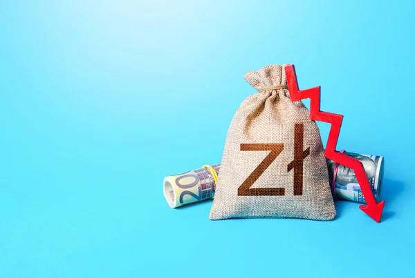 Polish Zloty Money Bag Arrow Falling Economy Drop Profits Decrease — Stockfoto