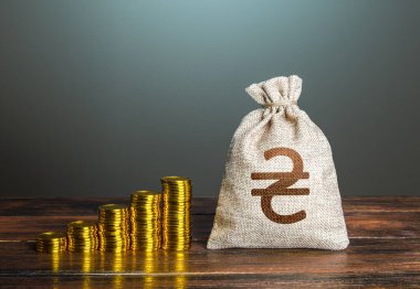 Ukrainian hryvnia money bag and increasing stacks of coins. Rise in profits, budget fees. Investments. Raise incomes, increase salaries. Financial success. Savings accumulation. Economic growth, GDP.