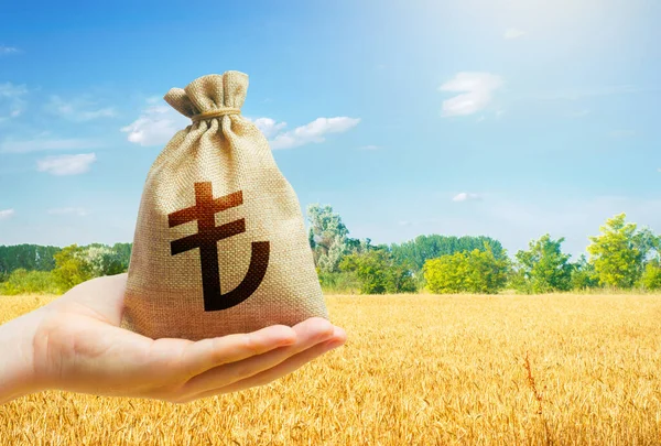 Wheat Field Turkish Lira Money Bag Agroindustry Business Starvation Famine — Photo