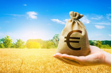 Wheat field and euro money bag. Food security and fight against hunger. Agroindustry business. Investments in agricultural complex. Profit buy deal. Stock market futures. Starvation and famine.