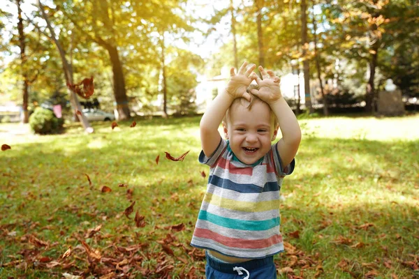 晴れた日に葉で公園で遊んでいる幸せな幼児の少年 屋外で1年半の笑顔の男の子 陽気な子供時代 選択的焦点 — ストック写真