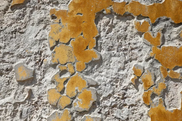 Θρυμματιμένος τοίχων — Φωτογραφία Αρχείου
