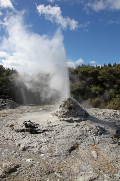 Paní vědí gejzír rotorua na Novém Zélandu — Stock fotografie