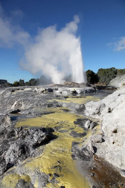 Rotorua Geysers - Новая Зеландия — стоковое фото