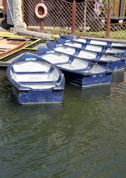 Row Boats — Stock Photo, Image