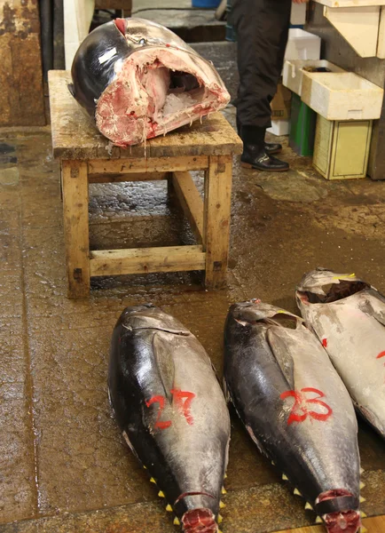 Tonfisk - tokyo — Stockfoto