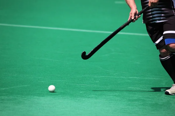 Hockey sur — Photo