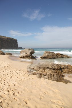 kırmızı kafa beach - newcastle Avustralya